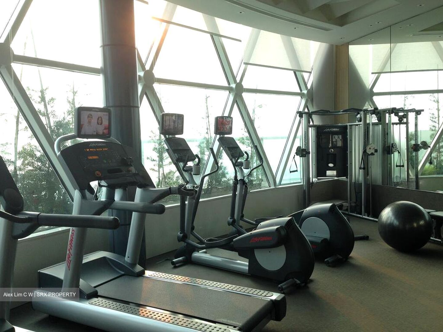 The Vision (D5), Condominium #499988221